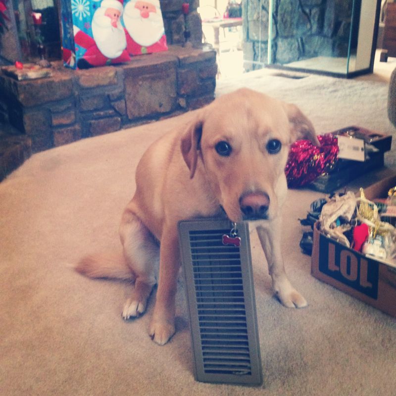 Air Conditioning Aficionado