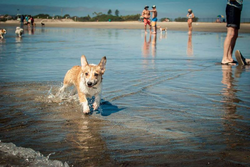 San Diego's Endless Trails And Beaches