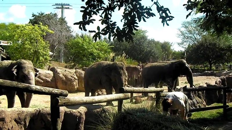 Busch Gardens Tampa Bay – Tampa