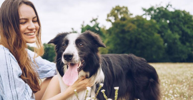 Why California’s Pet Laws Are Stricter Than You Realize
