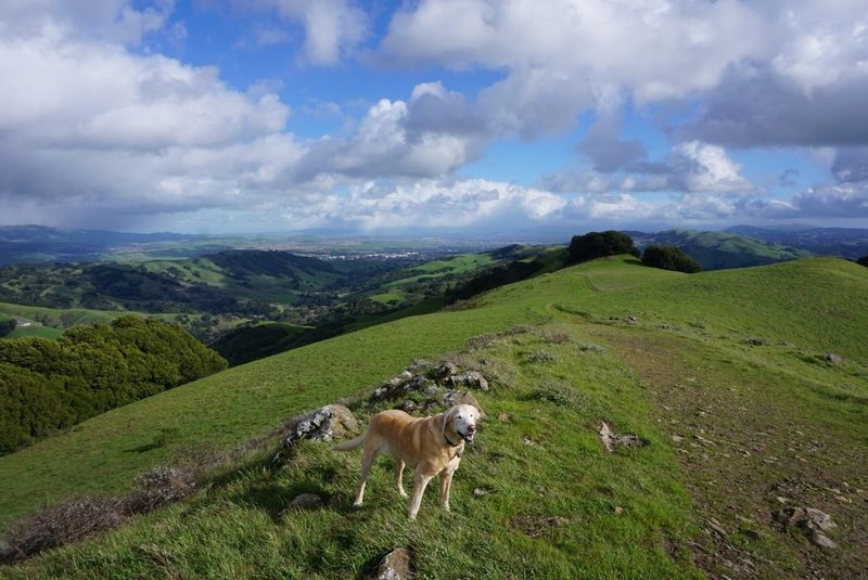 Las Trampas Wilderness Regional Preserve – San Ramon, CA