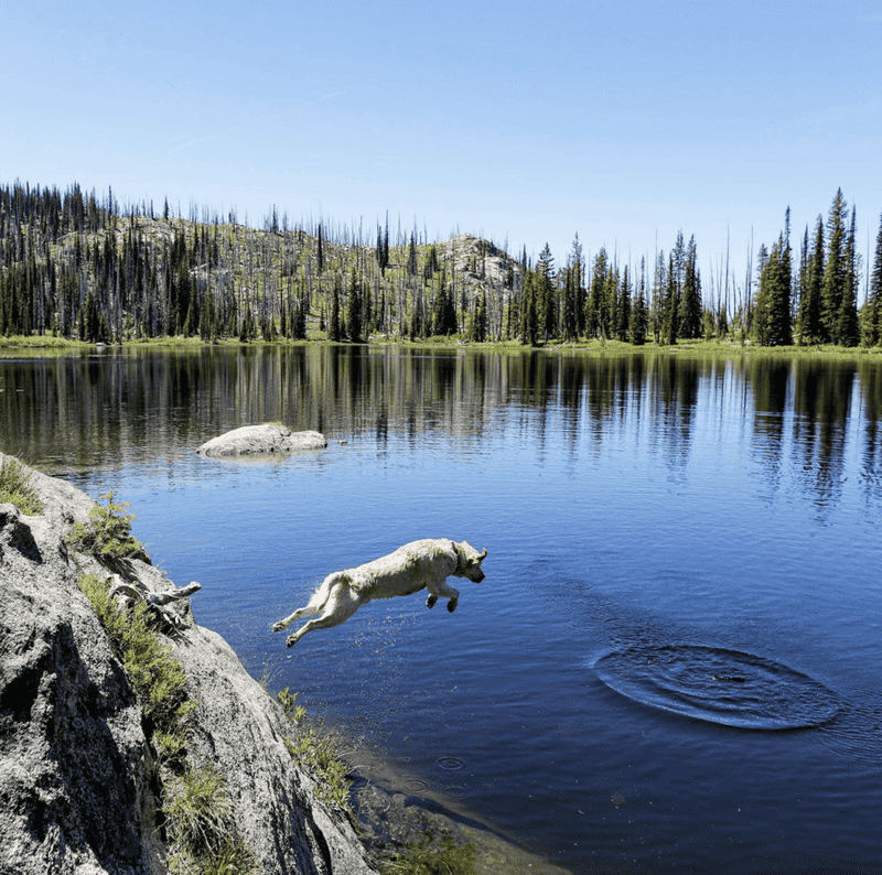 Idaho's Hidden Gem Climate