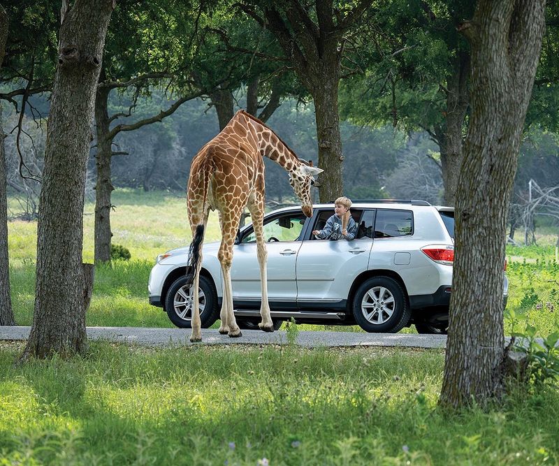 Texas Wildlife Park & Education Center – Mountain Home's Conservation Classroom