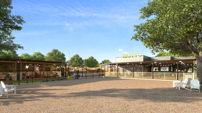 MUTTS Canine Cantina