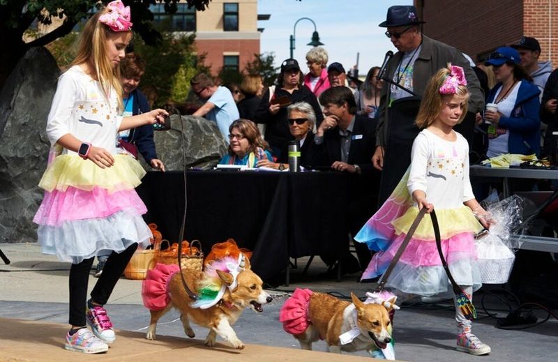 Pet-Friendly Parade Rules In Small Towns
