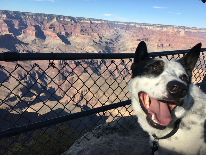 Grand Canyon National Park (Arizona)