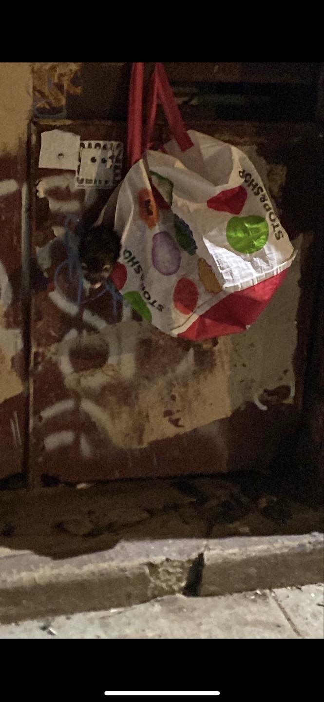 bag on a container