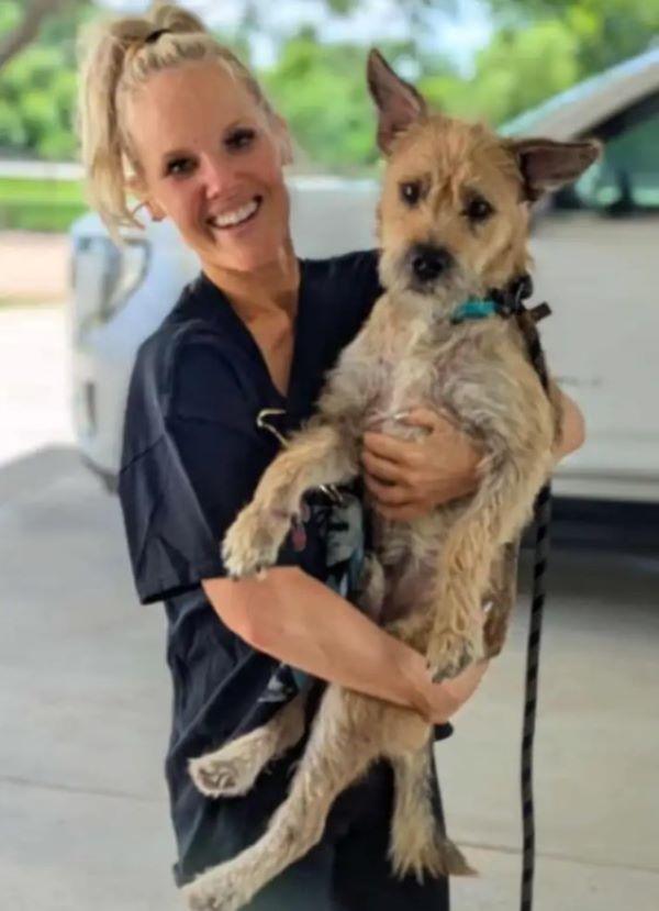 blonde woman holding a dog