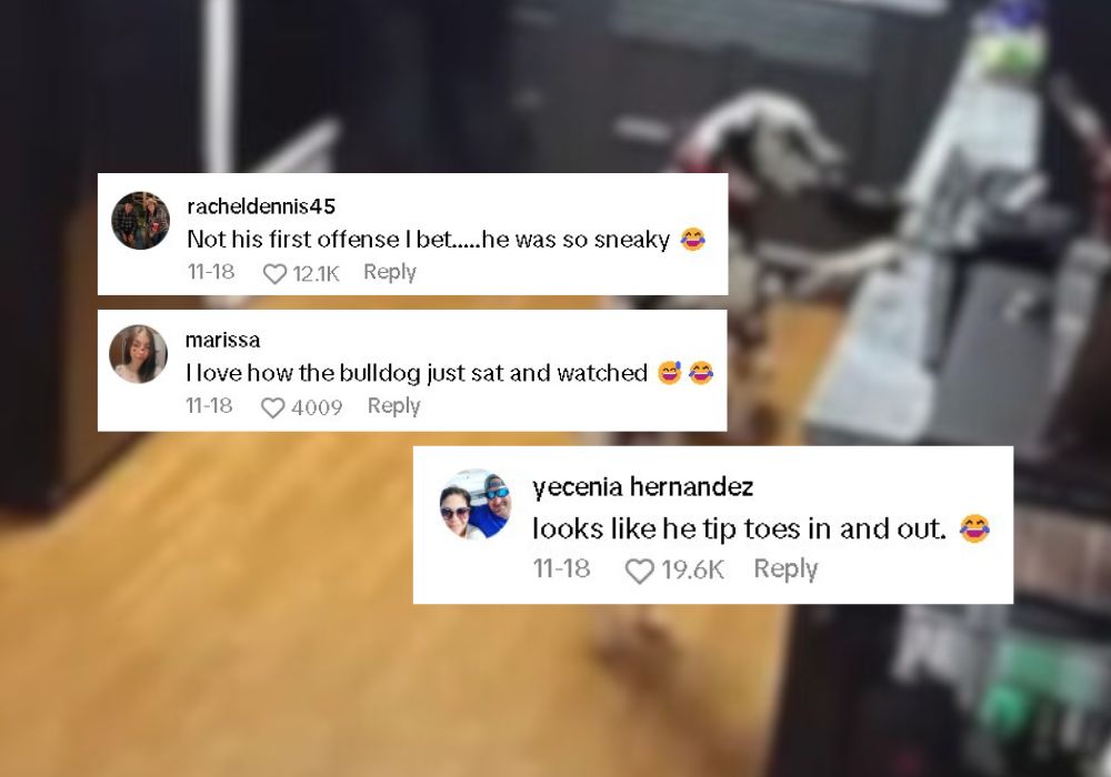 comments on tiktok