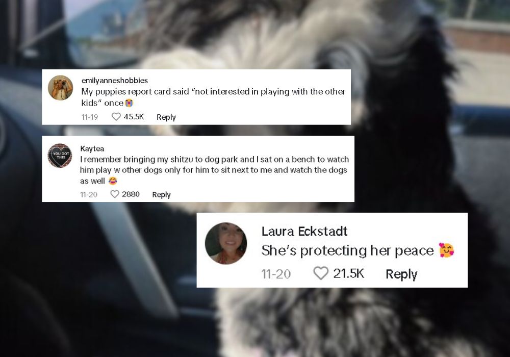 comments on tiktok