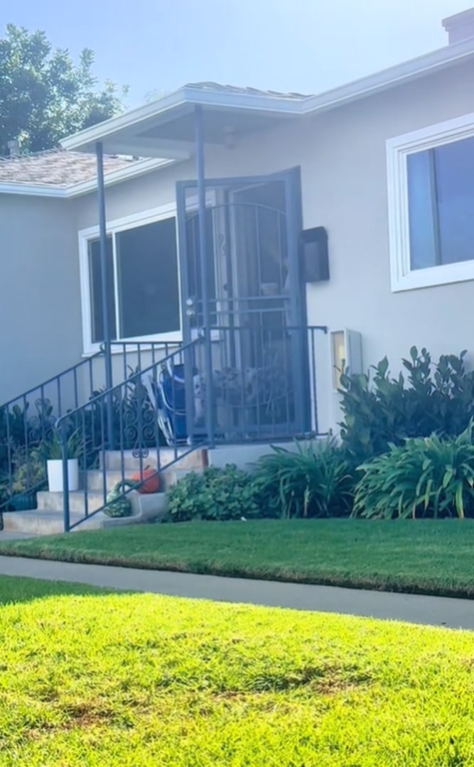 dalmatian at the front door