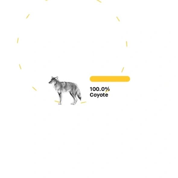 dna results
