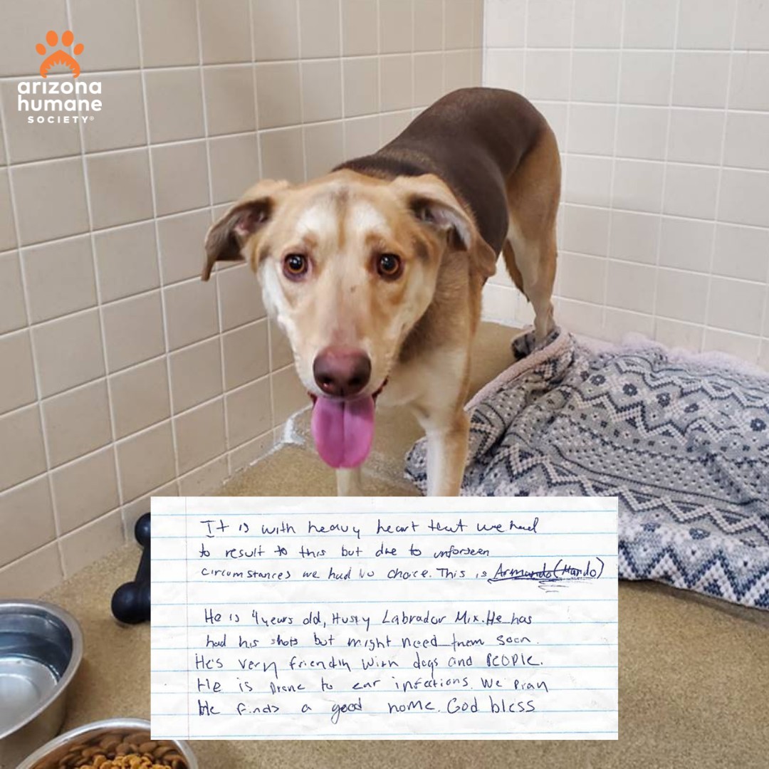 dog and a note