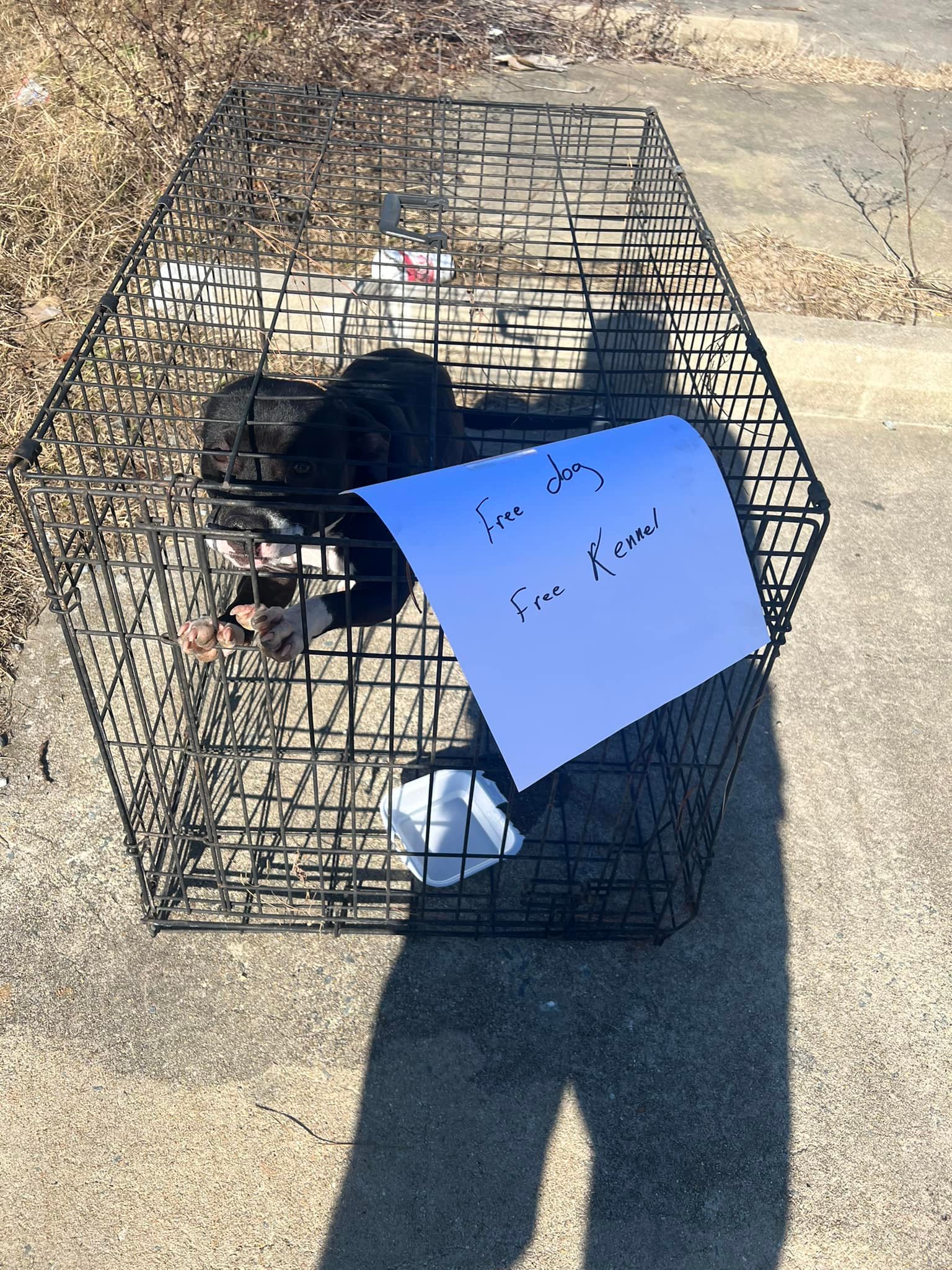 dog kennel free sign on it