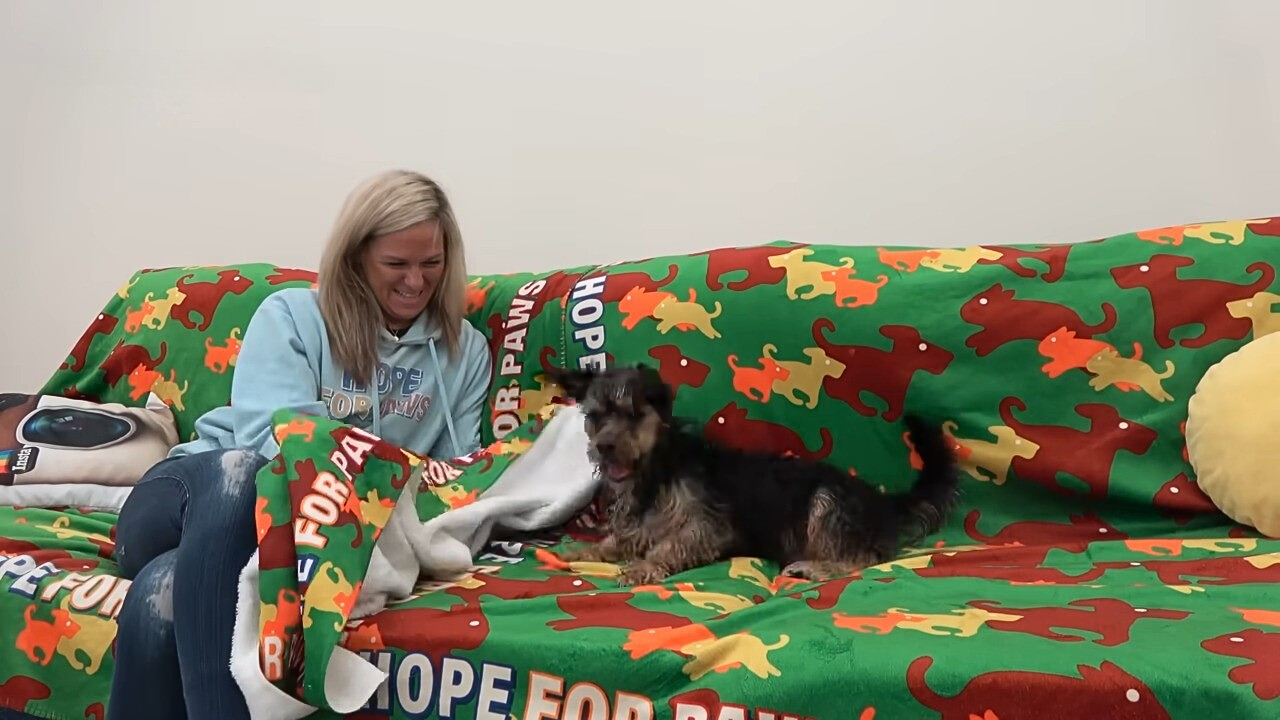 dog lying next to a woman