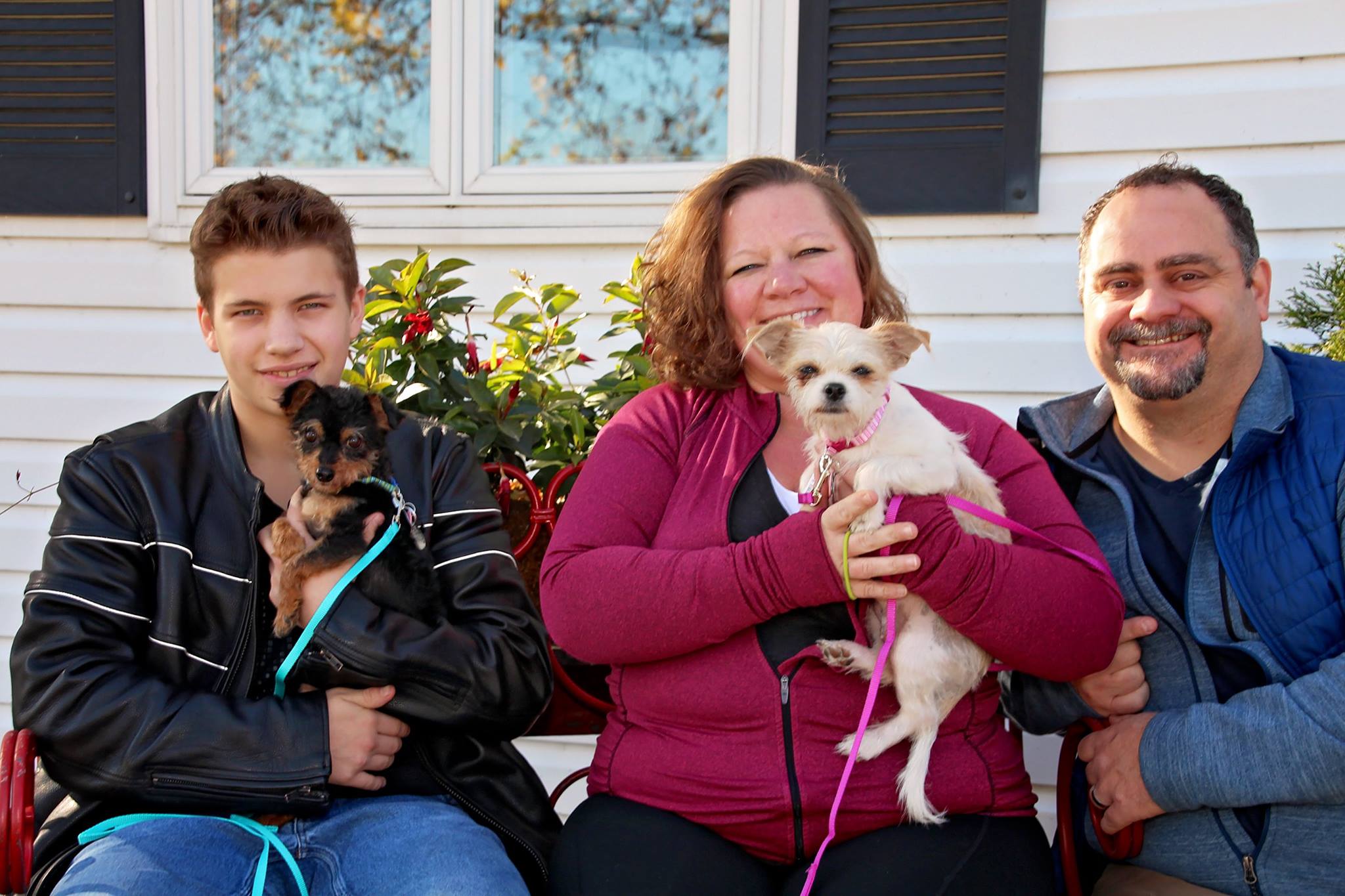 family with two dogs