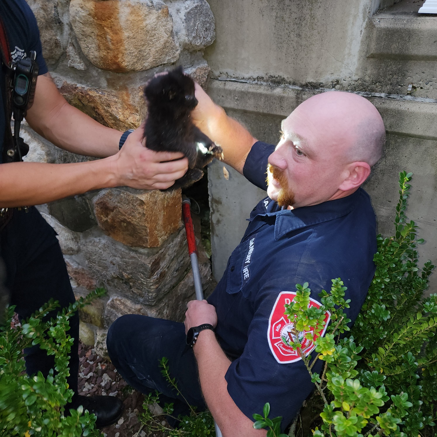 firefighters and kitten