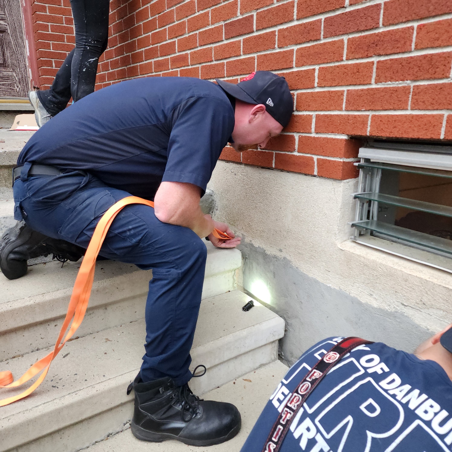 firefighters saving an animal