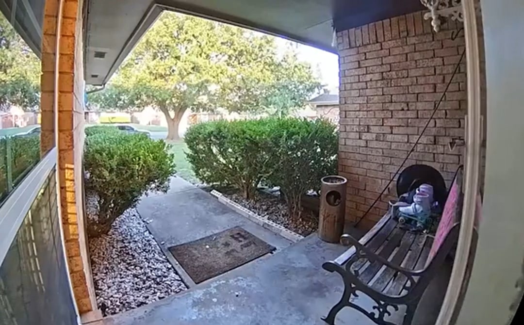 garden in front of house