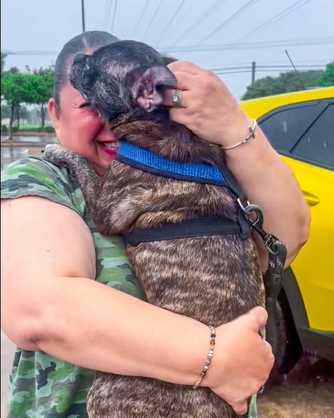 happy woman hugging a dog