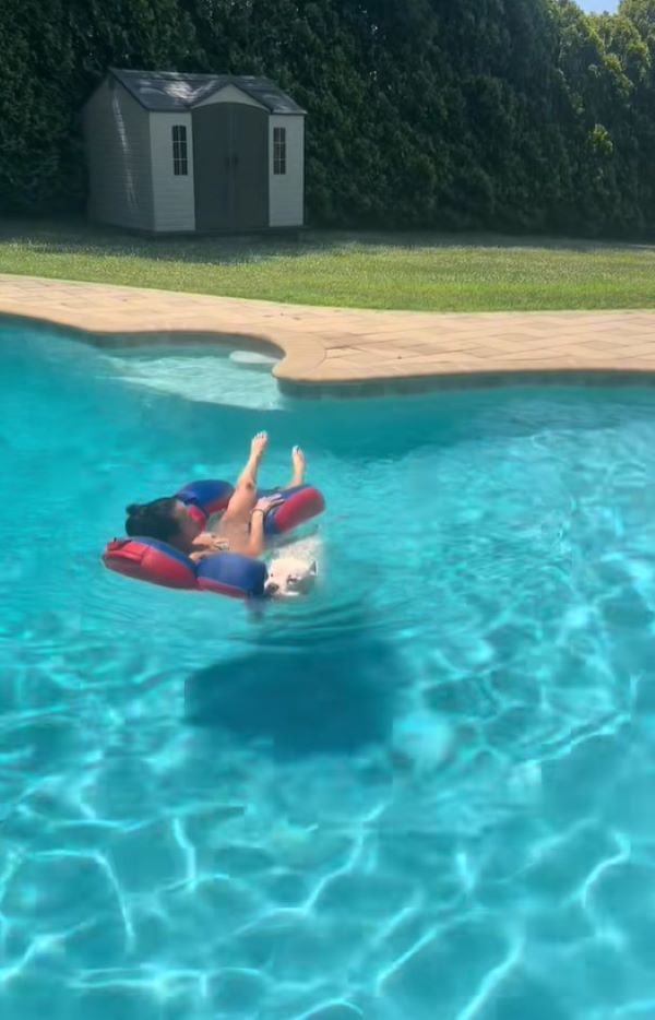 kid and dog in pool