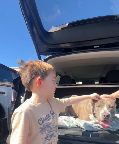 kid and dog