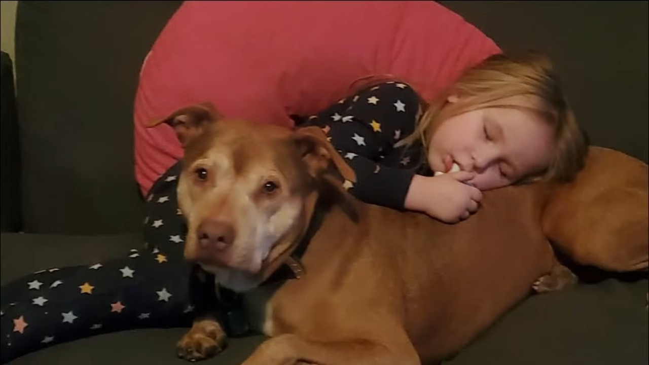 kid sleeping on dog