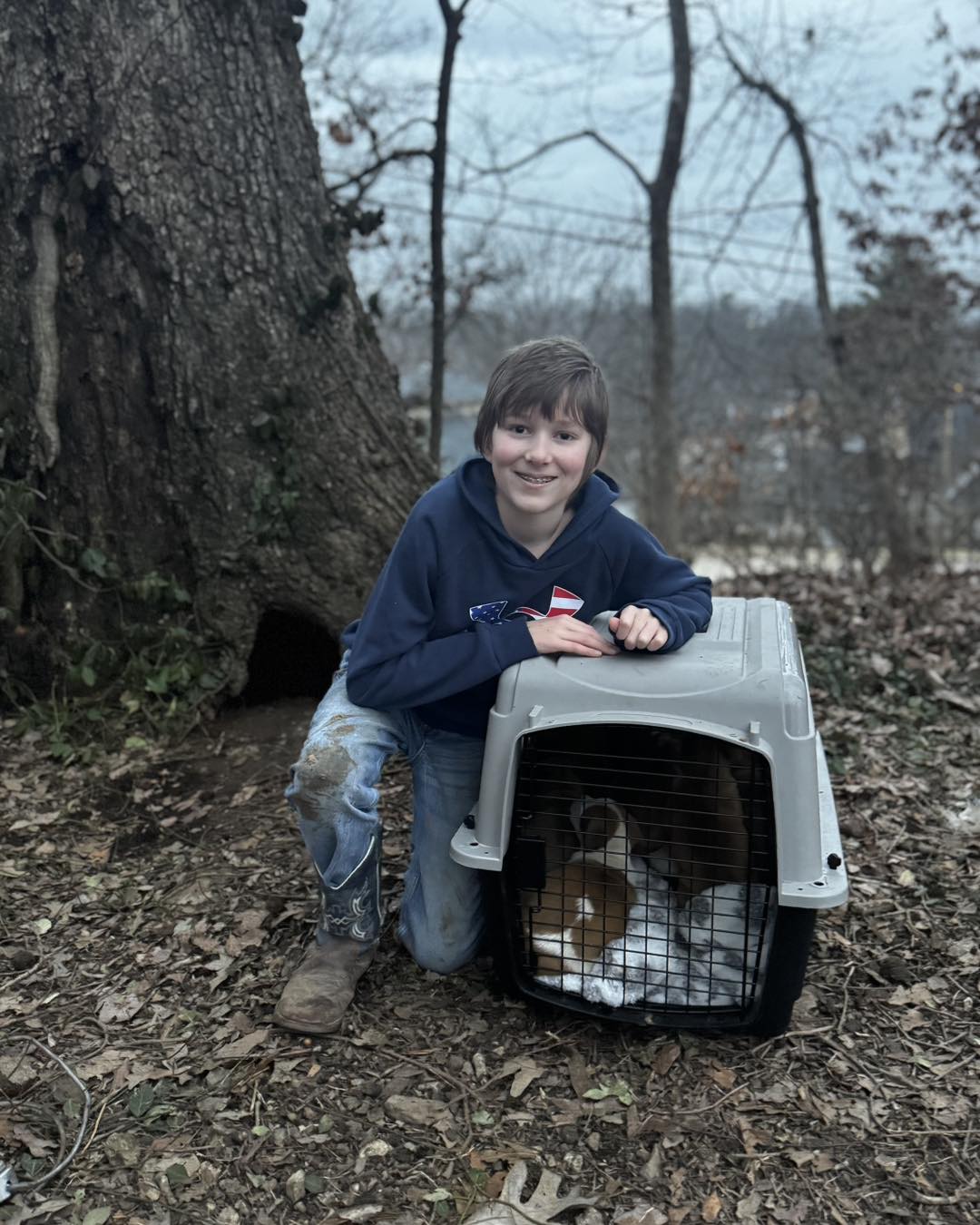 little boy and puppies