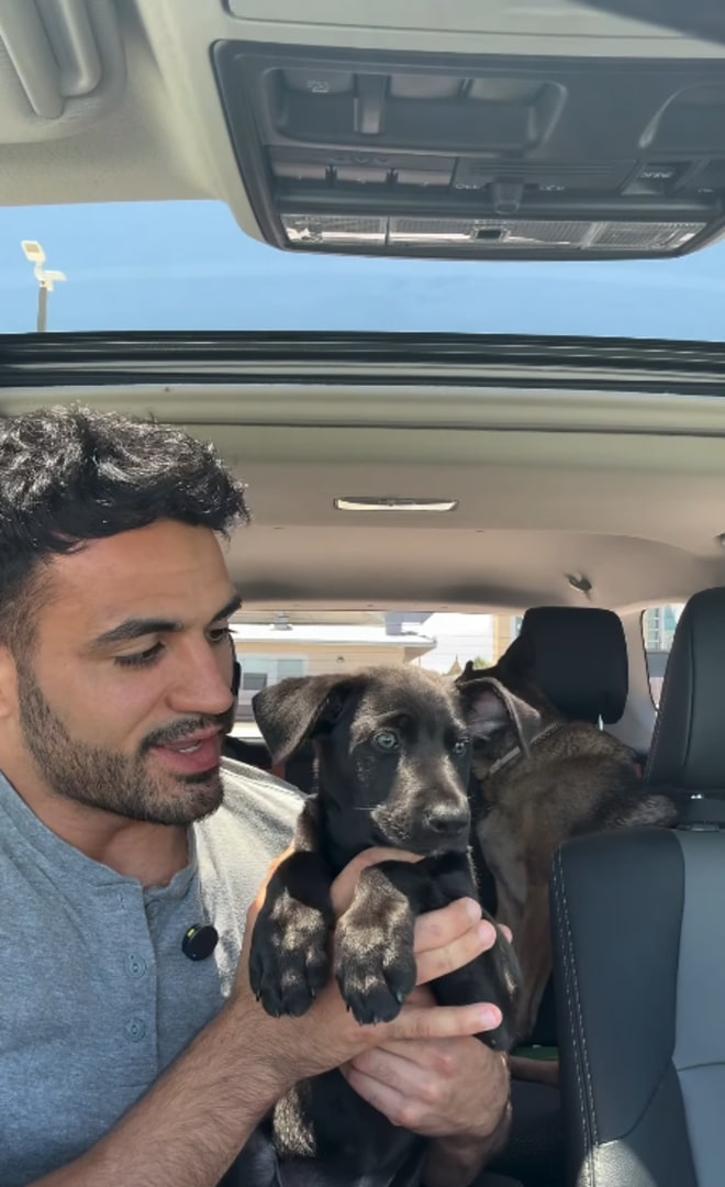 man and black dog in car