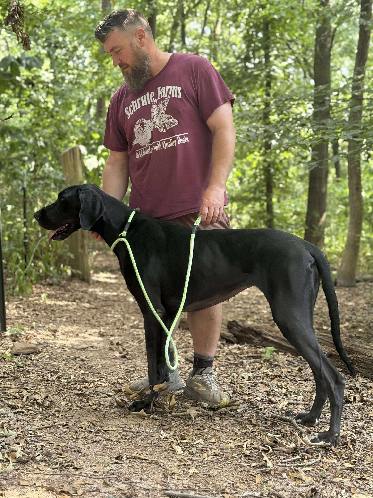 man and dog in forest