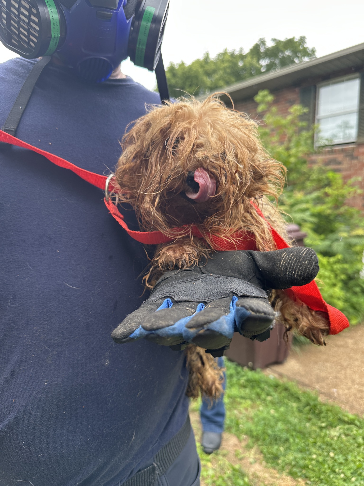man holding a neglected dog