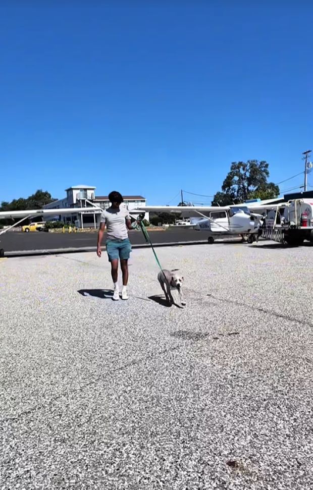 man walking a dog