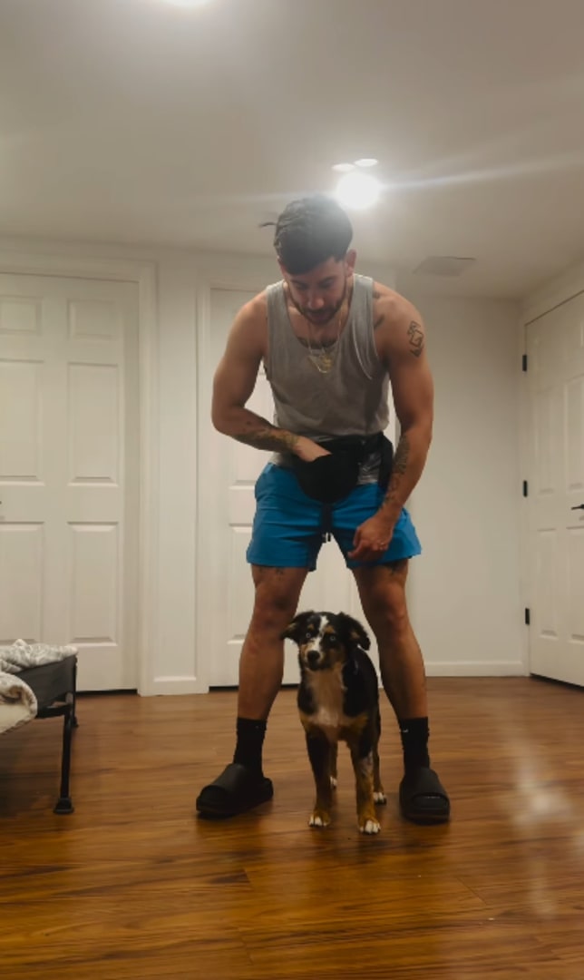 owner and dog in house