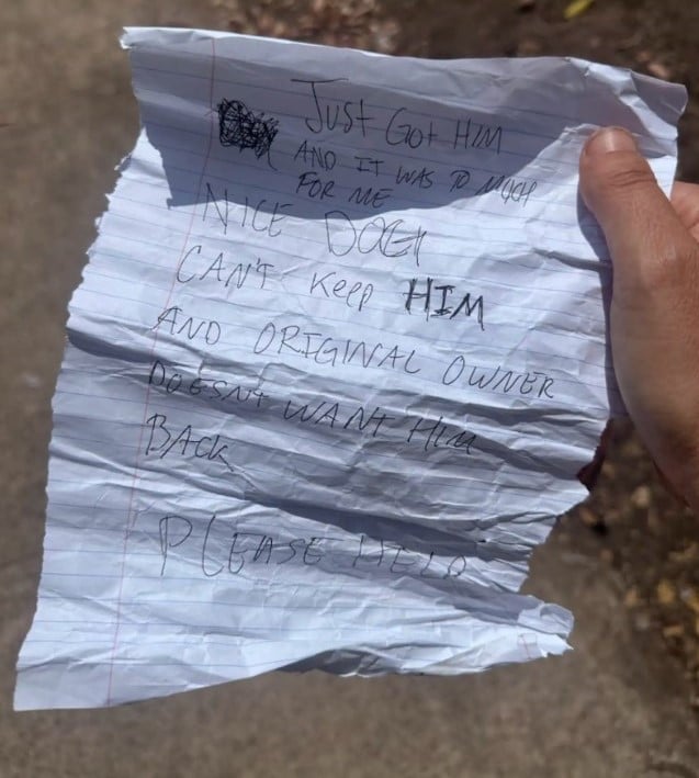paper note