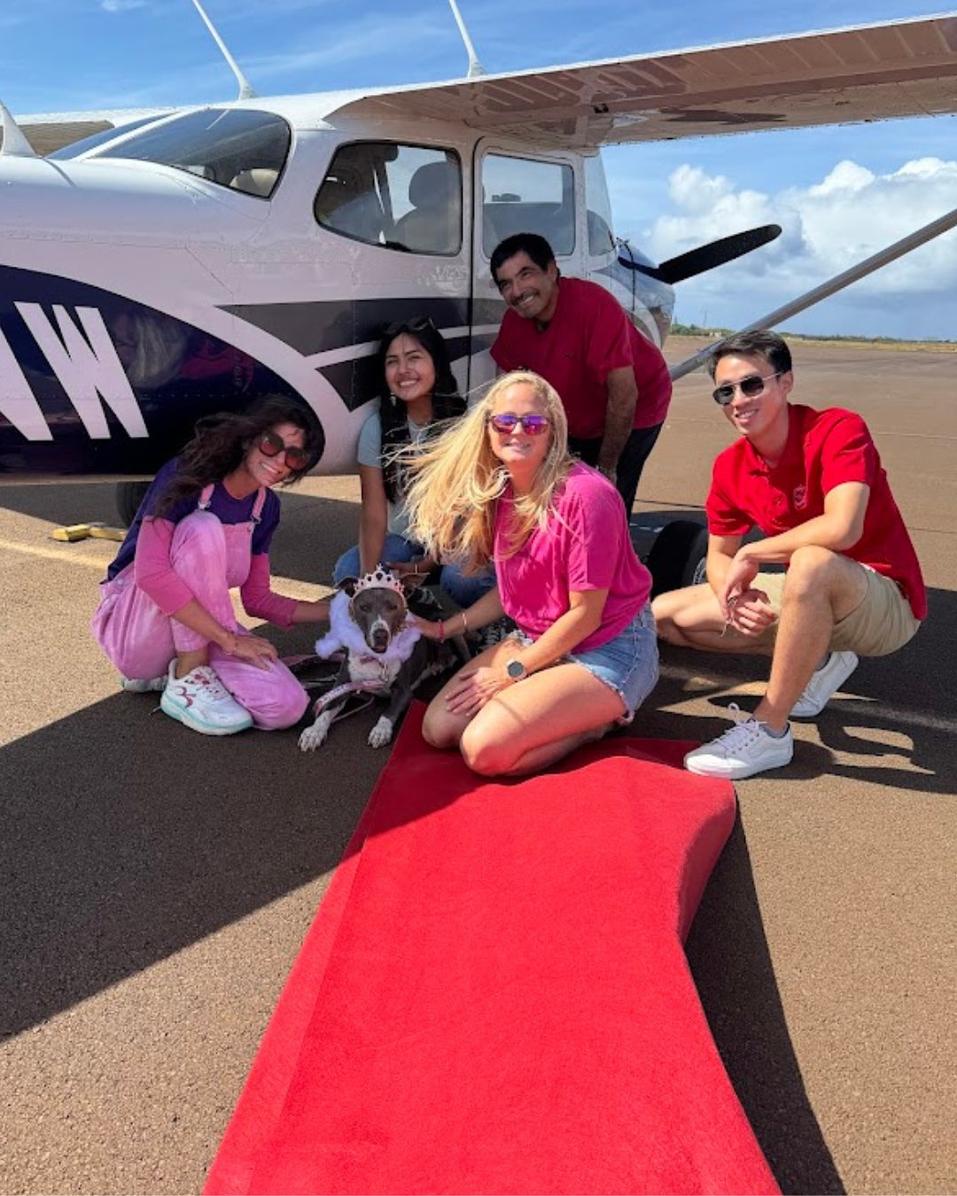 people and dog sitting around plane