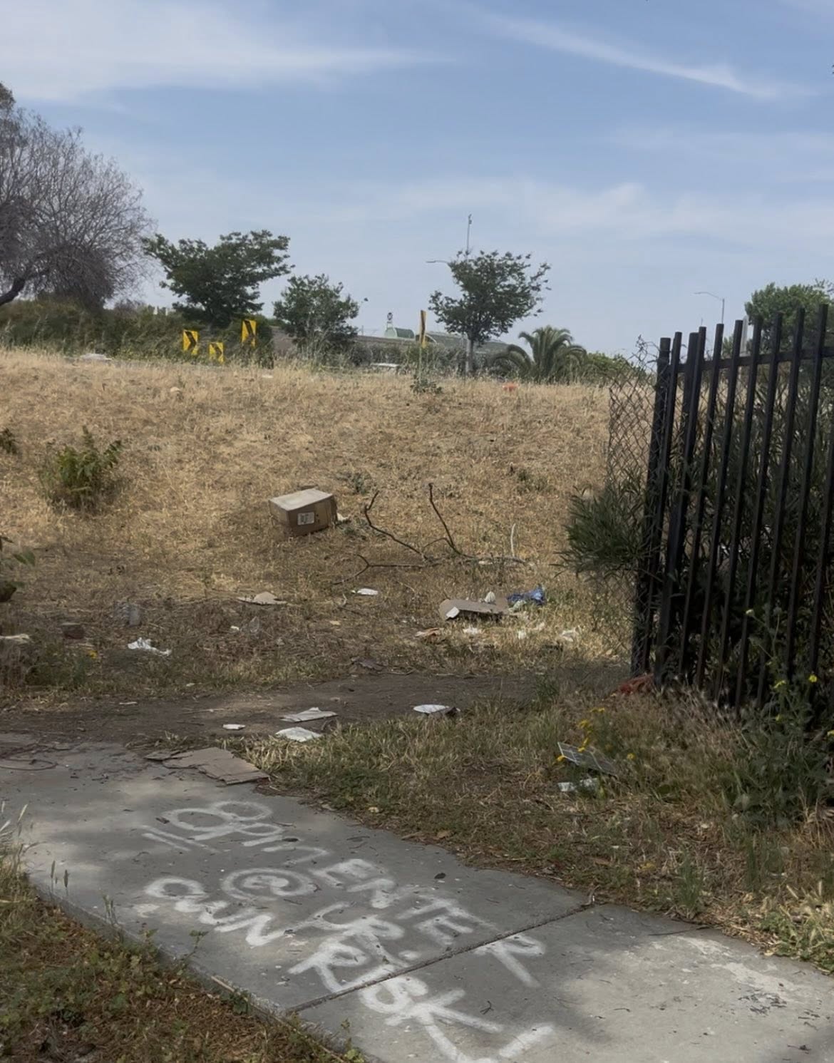 trash on road