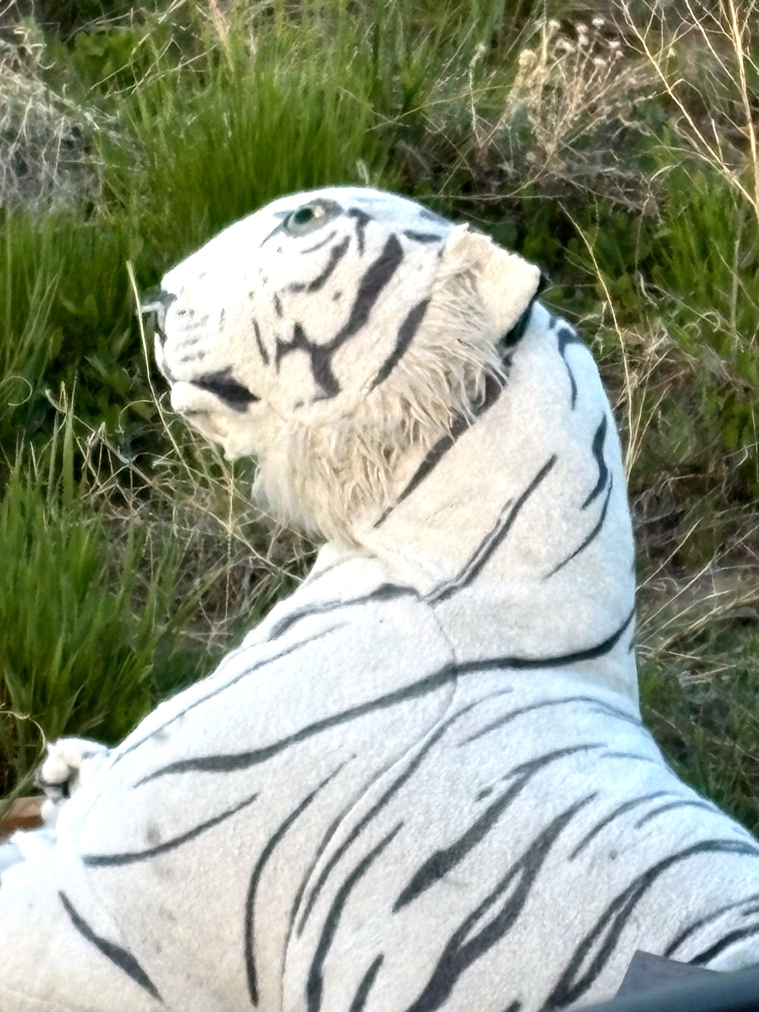 white toy