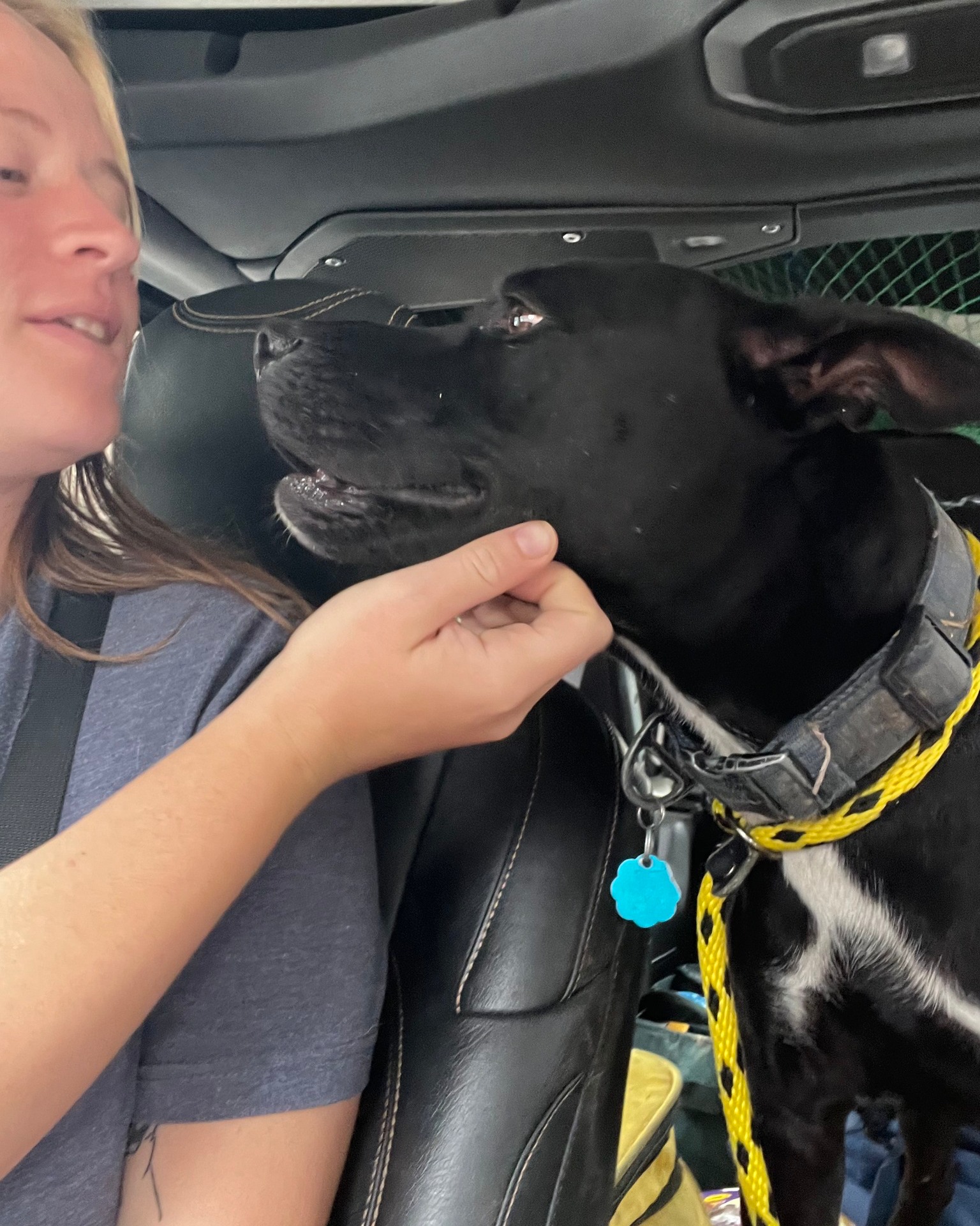 woman and black dog in car