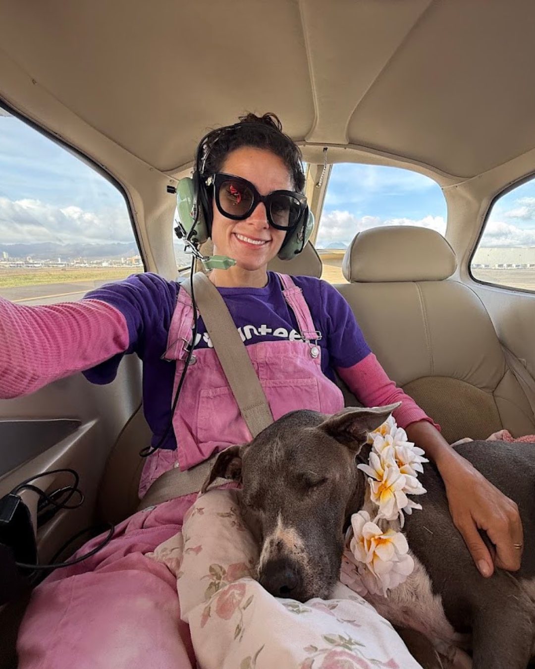 woman and dog in plane