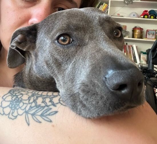woman and hers black dog