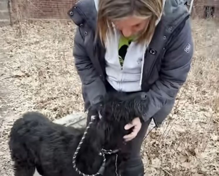 woman and mother dog