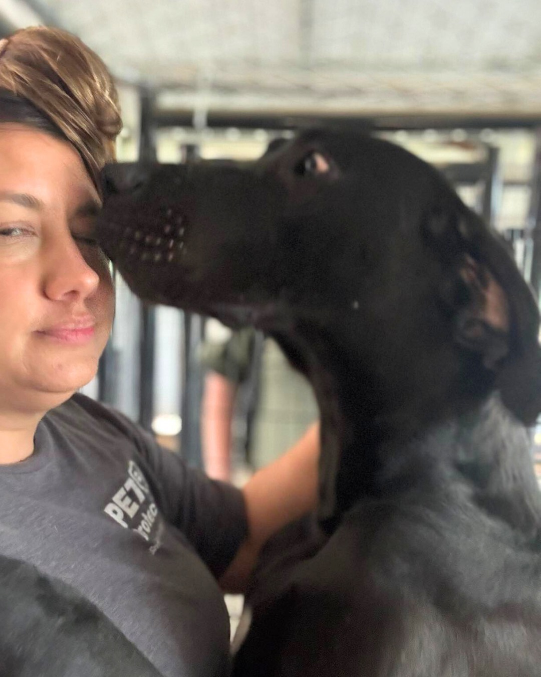 woman and sweet black dog