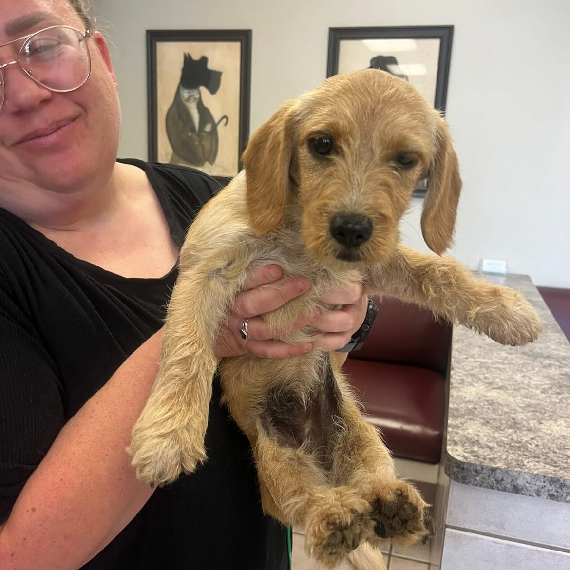 woman holding a dog