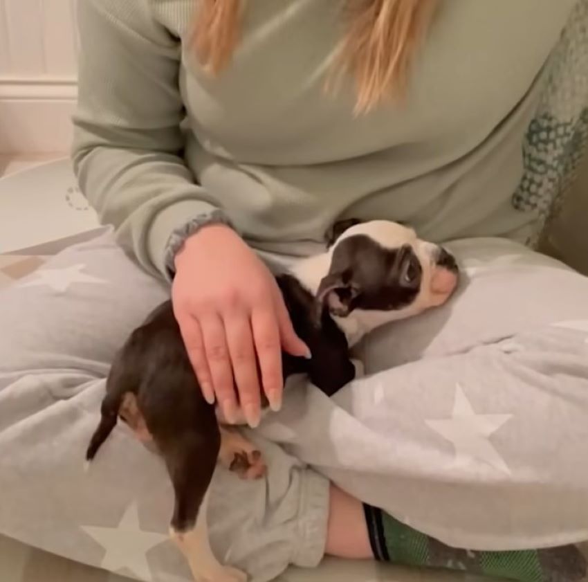 woman holding a tiny dog