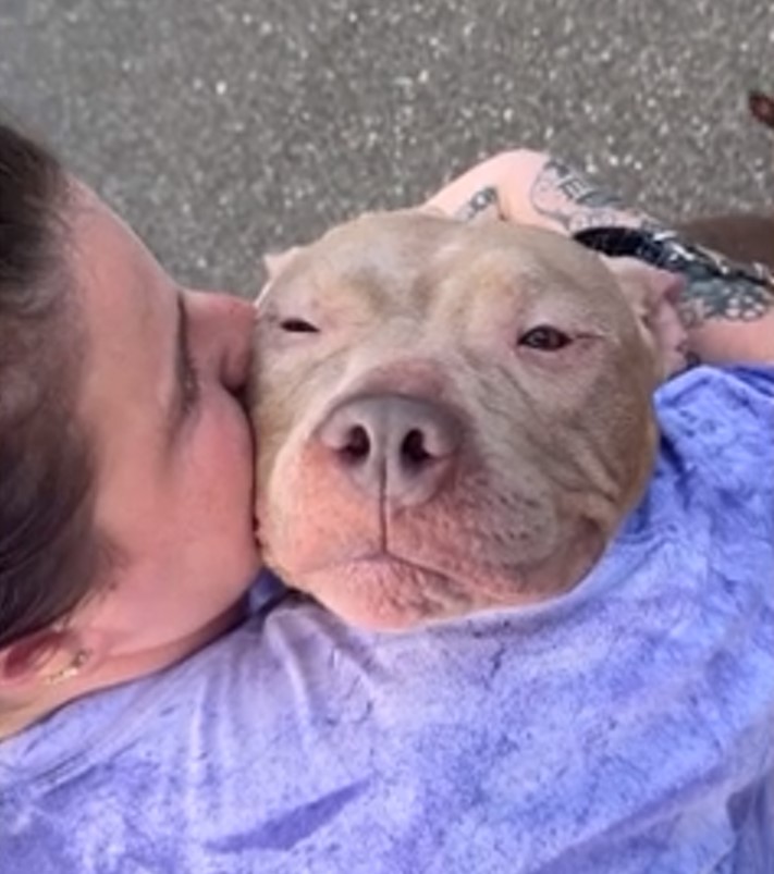 woman hugging the dog