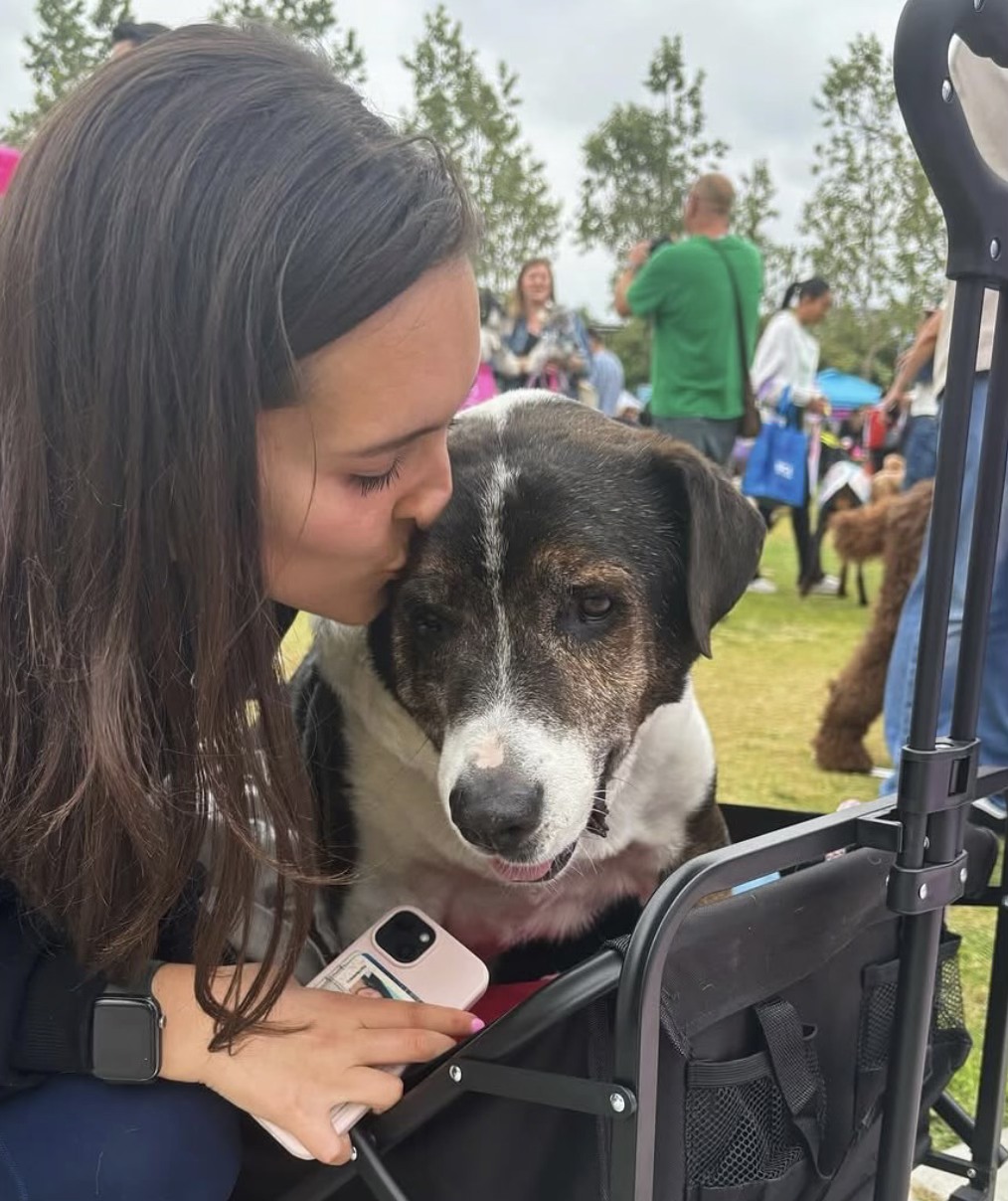 woman kissing a dog