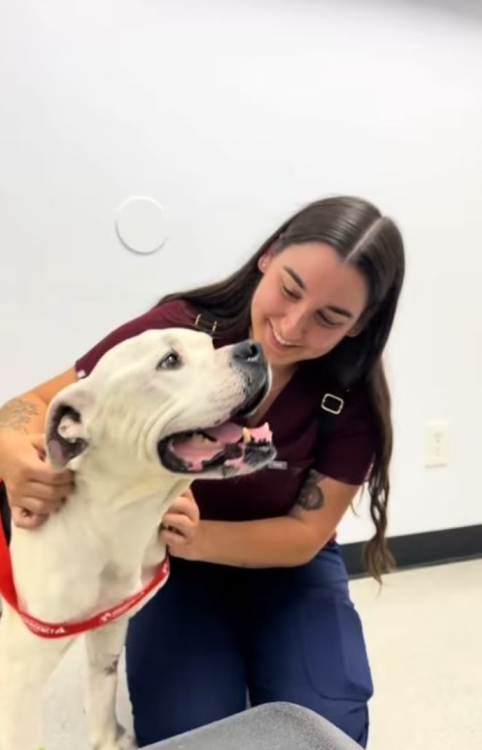 young woman and dog