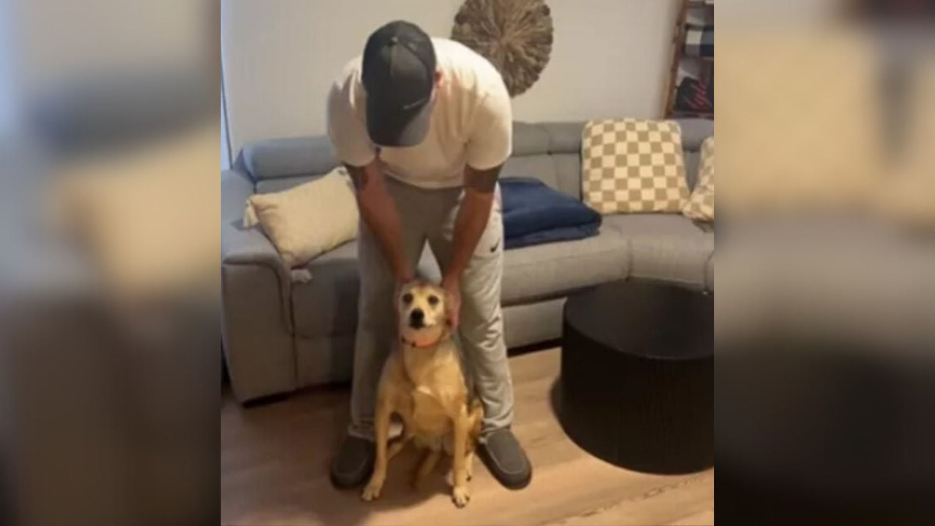 owner and dog
