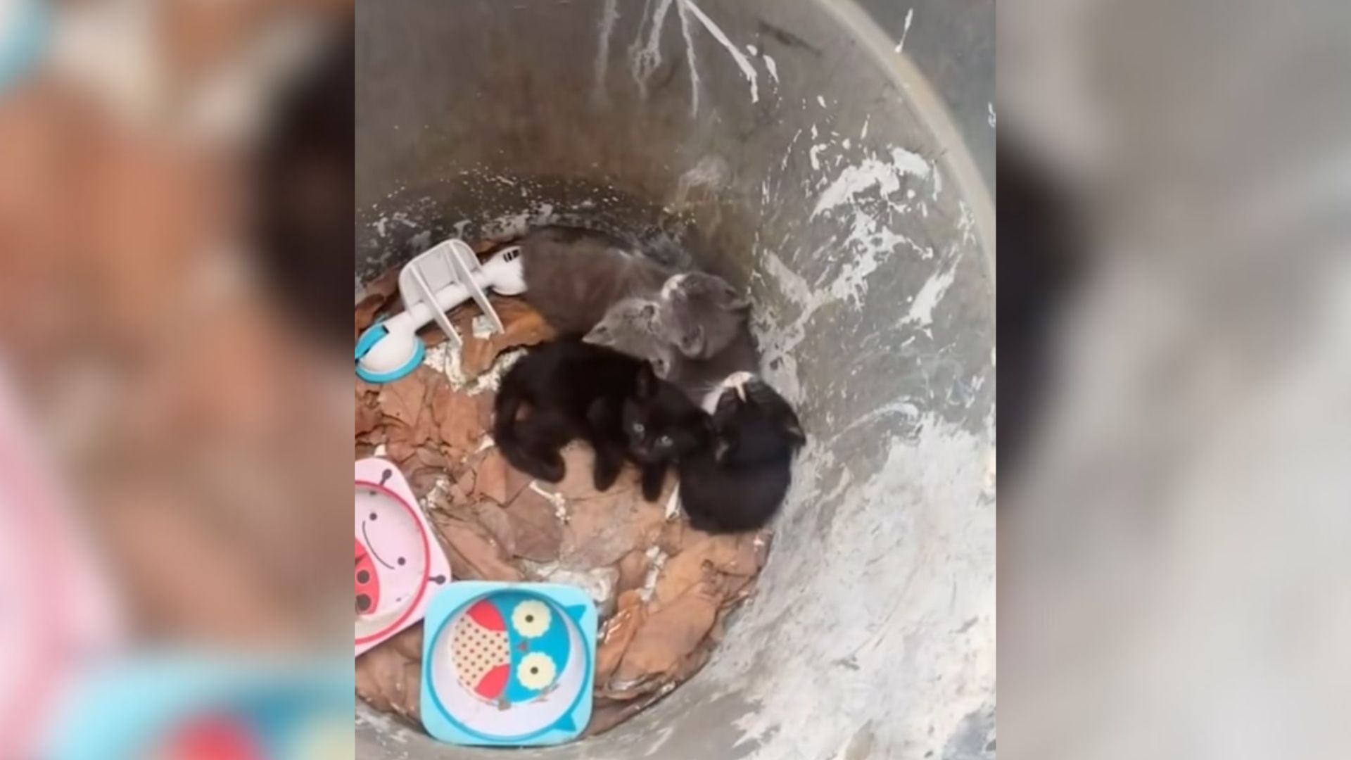 California Man Looks Inside A Trash Can And Finds The Most Heartbreaking Surprise