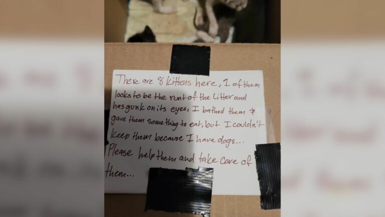 taped box